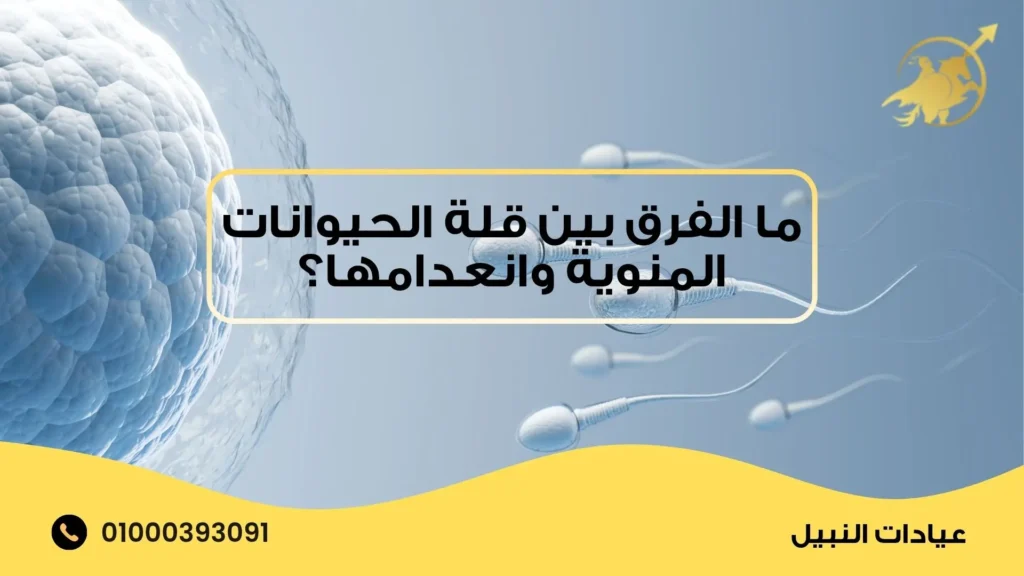 ما الفرق بين قلة الحيوانات المنوية وانعدامها؟